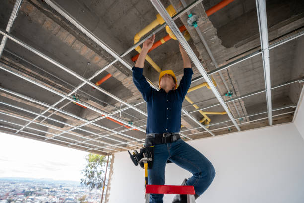 Best Commercial Plumbing Services  in Washburn, IL