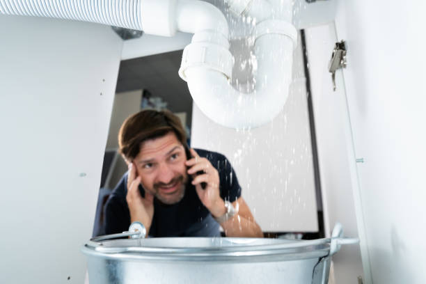 Best 24-Hour Plumber Near Me  in Washburn, IL